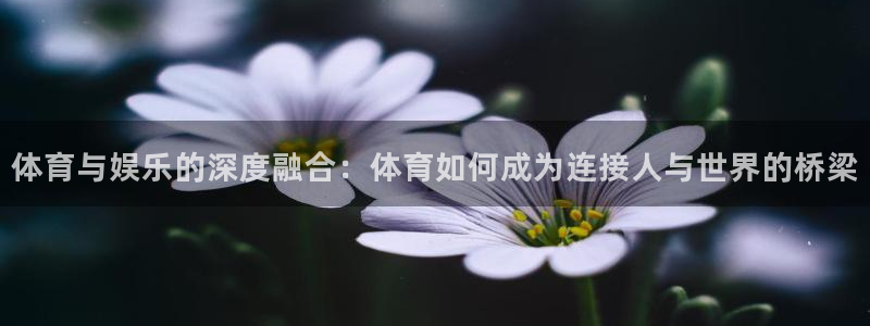 体育与娱乐的深度融合：体育如何成为连接人与世界的桥梁