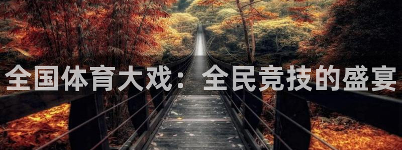 全国体育大戏：全民竞技的盛宴