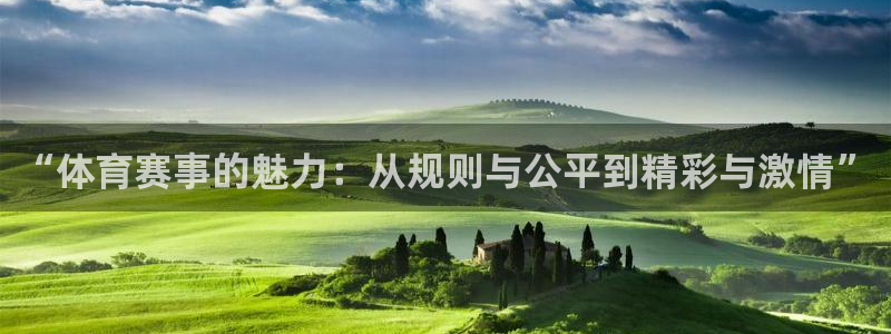 “体育赛事的魅力：从规则与公平到精彩与激情”