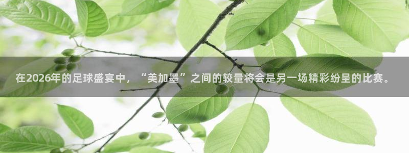 在2026年的足球盛宴中，“美加墨”之间的较量将会是另一场精彩纷呈的比赛。