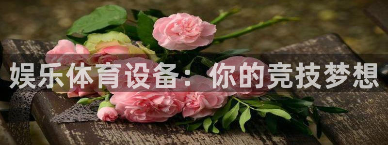 娱乐体育设备：你的竞技梦想