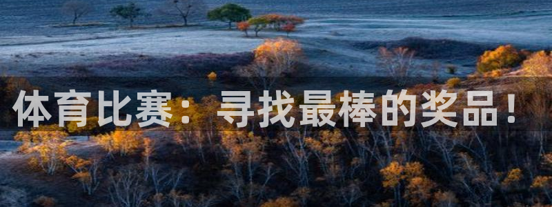 体育比赛：寻找最棒的奖品！