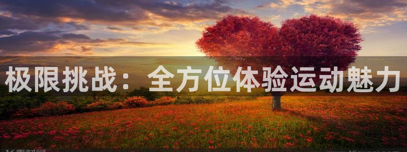极限挑战：全方位体验运动魅力