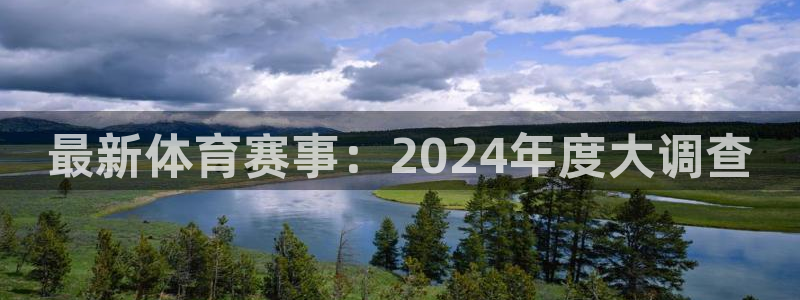 最新体育赛事：2024年度大调查